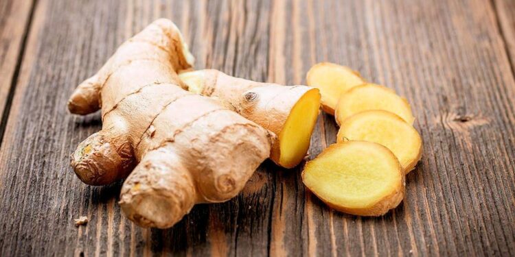 Investigadores desarrollan bebidas orgánicas con extracto de jengibre