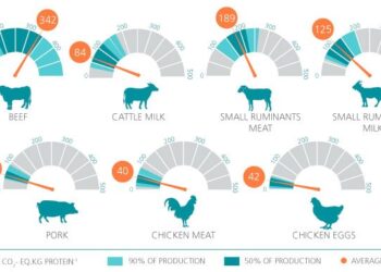 Herramienta de la FAO medirá impacto climático de la ganadería