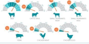 Herramienta de la FAO medirá impacto climático de la ganadería