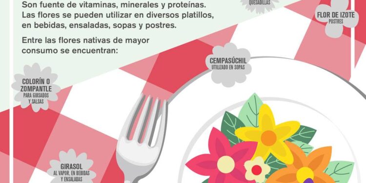 Florifagia: el gusto de comer flores