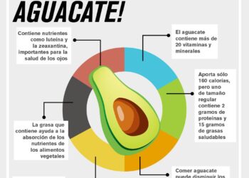 ¡A Comer Aguacate!