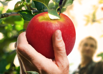 Agricultores ecológicos protegen el patrimonio alimentario