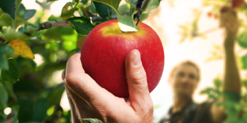 Agricultores ecológicos protegen el patrimonio alimentario