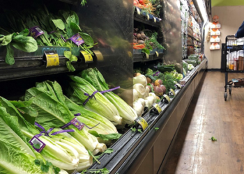Alerta en EU y Canadá por presencia de E. coli en lechuga romana