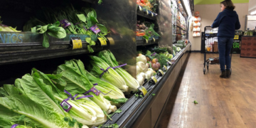Alerta en EU y Canadá por presencia de E. coli en lechuga romana