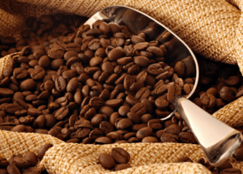 Café orgánico suma ganancias a productores