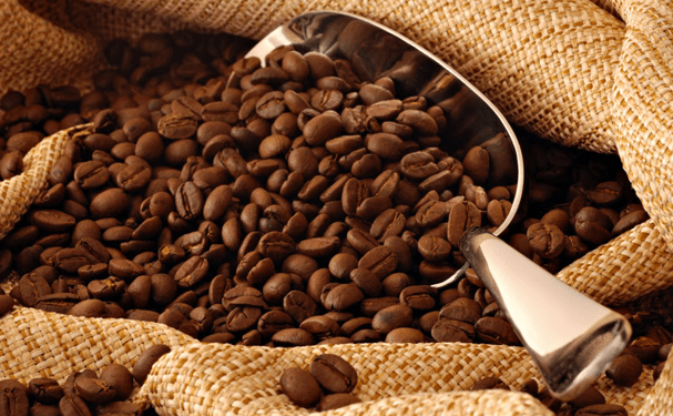 Café orgánico suma ganancias a productores