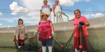 Consumo per cápita de pescado en México aumenta de 9 a 13 kilos