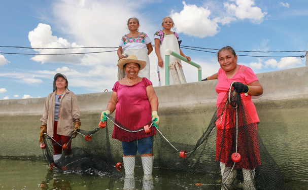 Consumo per cápita de pescado en México aumenta de 9 a 13 kilos