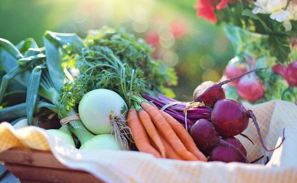Crece 15% cultivo de orgánicos en el mundo