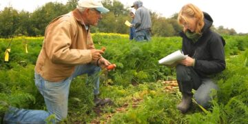 Críticas a la agricultura orgánica