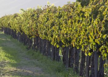 Producción con equilibrio