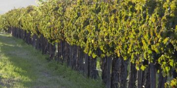 Producción con equilibrio