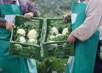 Mirar con nuevos ojos