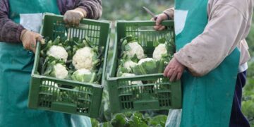 Mirar con nuevos ojos