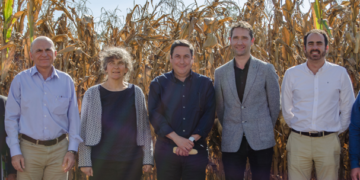 MasAgro duplica rendimientos de maíz y trigo