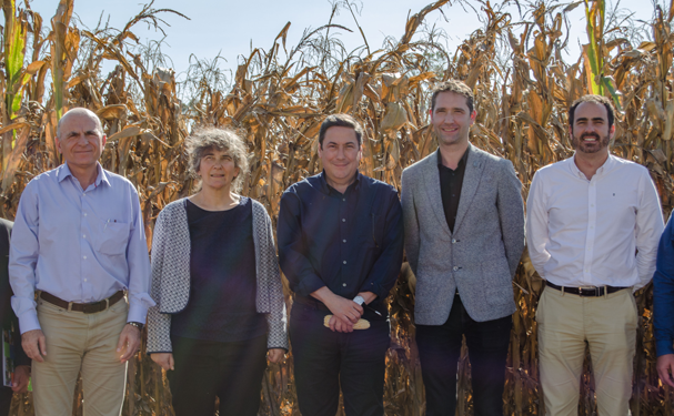 MasAgro duplica rendimientos de maíz y trigo