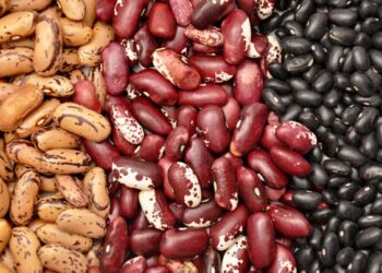 Frijol orgánico mexicano, entre los superfoods mundiales