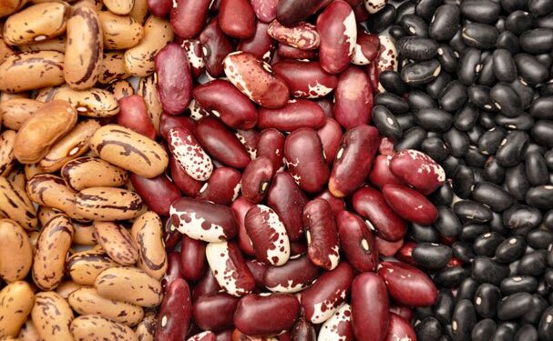 Frijol orgánico mexicano, entre los superfoods mundiales