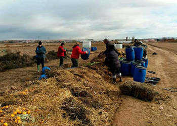Se multiplican iniciativas de agrocompostaje