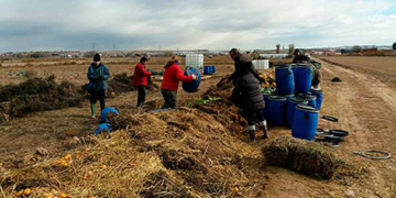 Se multiplican iniciativas de agrocompostaje