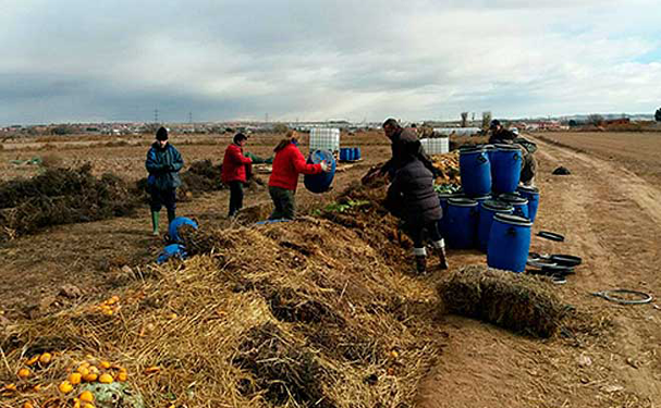 Se multiplican iniciativas de agrocompostaje