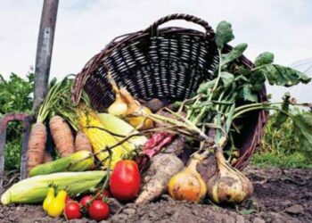 Sikkim es declarado el primer estado 100 por ciento orgánico del mundo