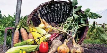 Sikkim es declarado el primer estado 100 por ciento orgánico del mundo