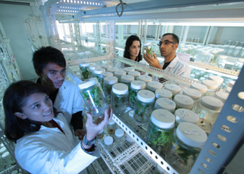 Zacatecas impulsa agro con nanotecnología y orgánicos