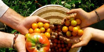 Agricultura sostenida por la comunidad