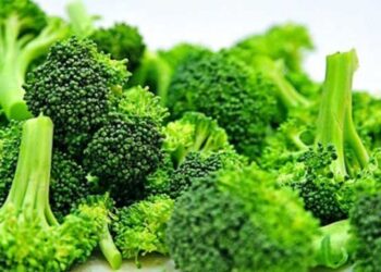 Concentrado de brócoli, alternativa en tratamiento de diabetes tipo 2