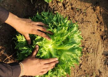 Aprender a producir y vivir en equilibrio