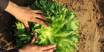 Aprender a producir y vivir en equilibrio