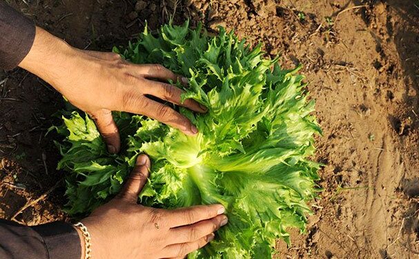 Aprender a producir y vivir en equilibrio