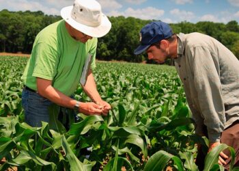 El ABC de las ventas agrícolas