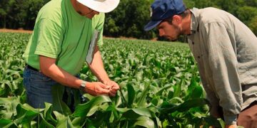 El ABC de las ventas agrícolas