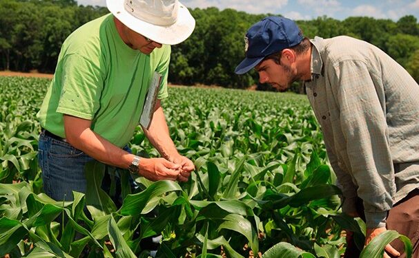 El ABC de las ventas agrícolas