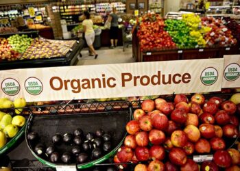 Otro año record para la agricultura orgánica