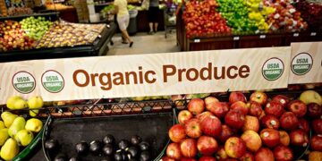 Otro año record para la agricultura orgánica