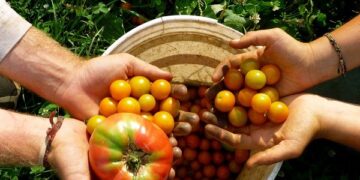 Orgánico 3.0: por un cultivo y consumo verdaderamente sostenibles