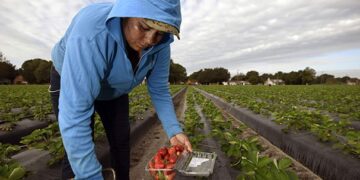 Red agrologística aportaría 100 mil mdp a México