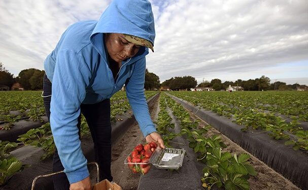 Red agrologística aportaría 100 mil mdp a México
