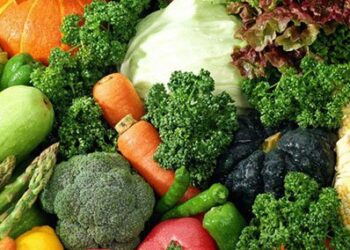 Sí al consumo de hortalizas orgánicas