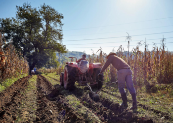 Cambio climático impone retos a América Latina y el Caribe