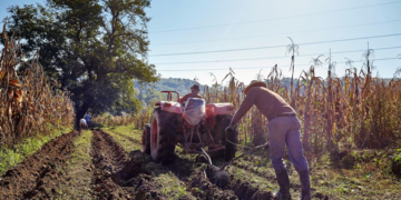 Cambio climático impone retos a América Latina y el Caribe
