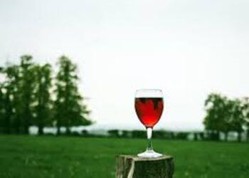 Crece demanda de vino ecológico, pero se frena producción