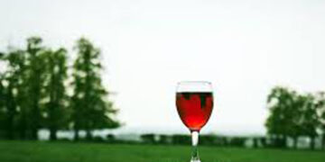 Crece demanda de vino ecológico, pero se frena producción