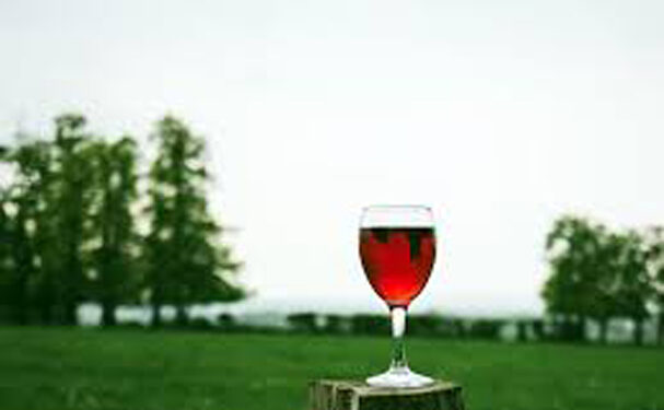 Crece demanda de vino ecológico, pero se frena producción