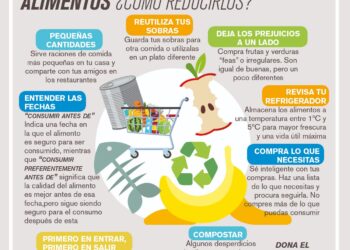 Desperdicio de alimentos