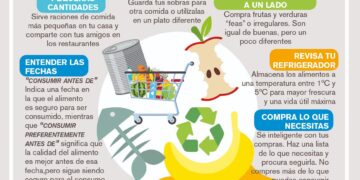Desperdicio de alimentos